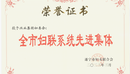 喜報！興業集團婦委會榮獲“全市婦聯系統先進集體”榮譽稱號